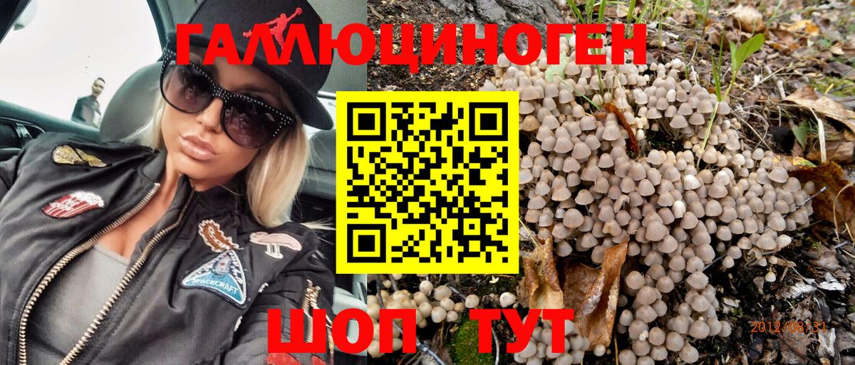 Псилоцибиновые грибы Magic Shrooms Кохма