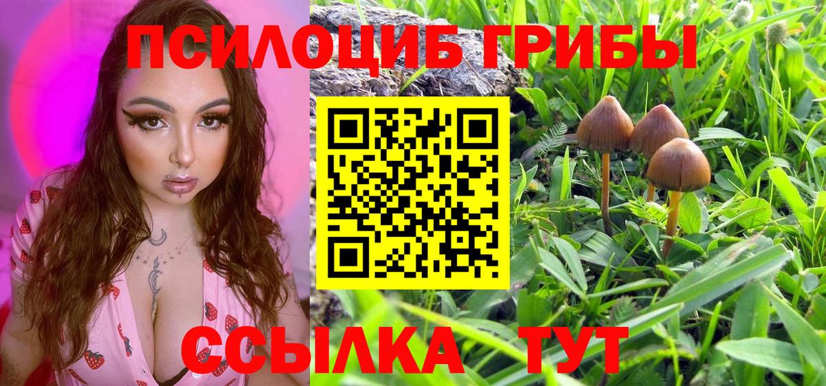 Псилоцибиновые грибы GOLDEN TEACHER  Псилоцибиновые грибы ЛСД  Кохма  наркотики  Вход с VPN 