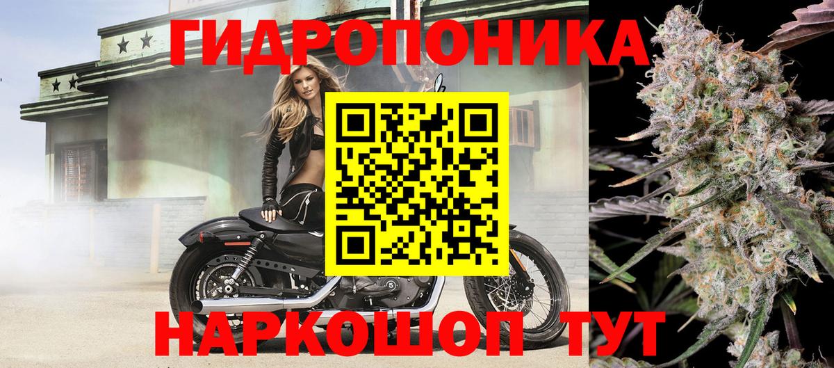 Конопля семена  Бошки Шишки план  Каннабис семена  Кохма  Вход с VPN 